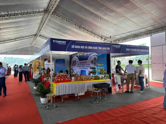 Công ty TNHH Công nghệ Sinh học Ngân Hà thúc đẩy sáng kiến phát triển du lịch xanh và bền vững dẫn