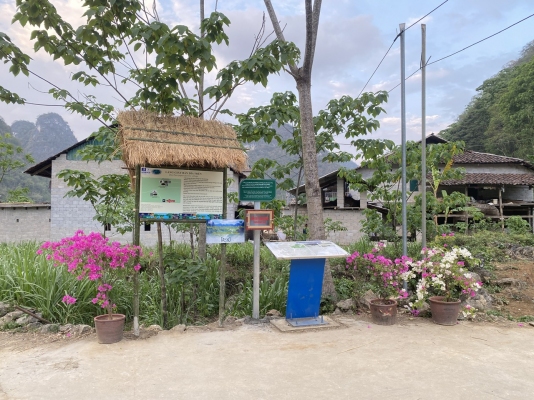 Tư vấn bảo tồn làng nghề và phát triển du lịch cộng đồng tại làng giấy bản Dìa Trên (Quảng Hòa)