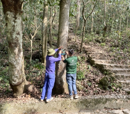 Lắp đặt hệ thống biển thông tin về đa dạng sinh học trong vùng Công viên địa chất Non nước Cao Bằng