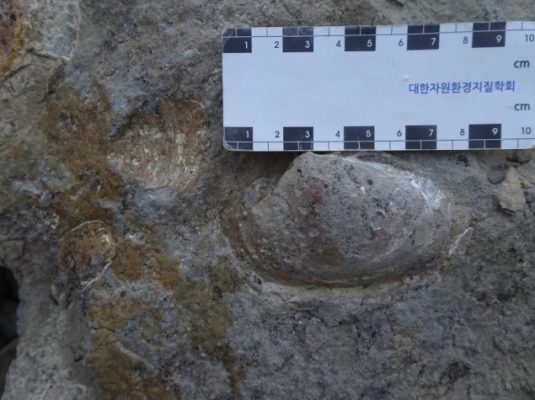 28  Di tích hóa thạch Thân mềm nước ngọt, thành phố Cao bằng