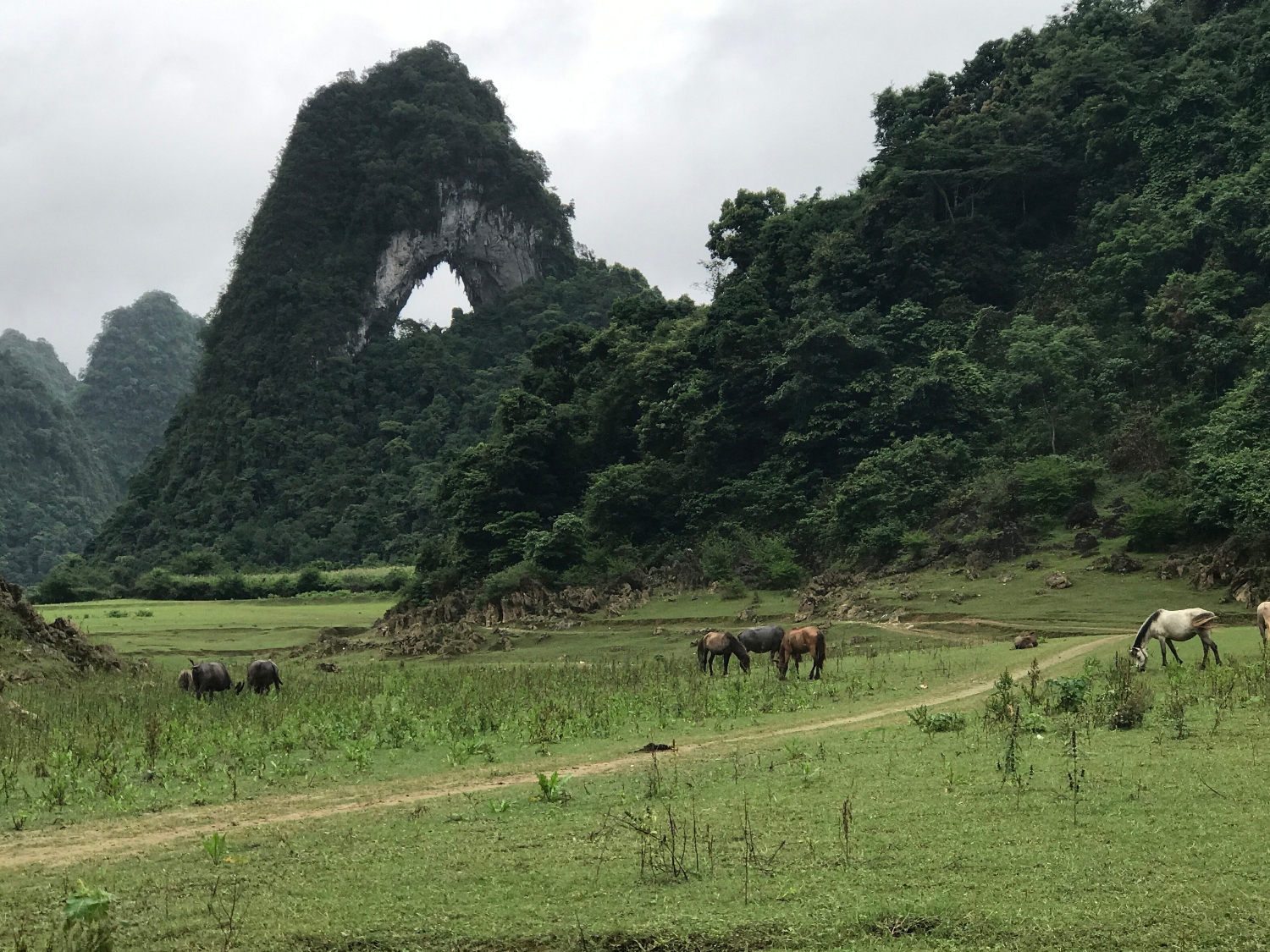 Nam Cha lake and Moutain angle eye in the rainy season.