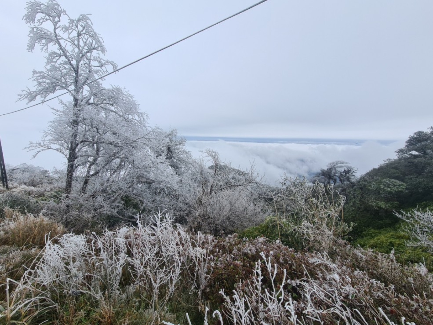 Phja Oac mountain (Thanh Cong commune, Nguyen Binh District) covered by white frost