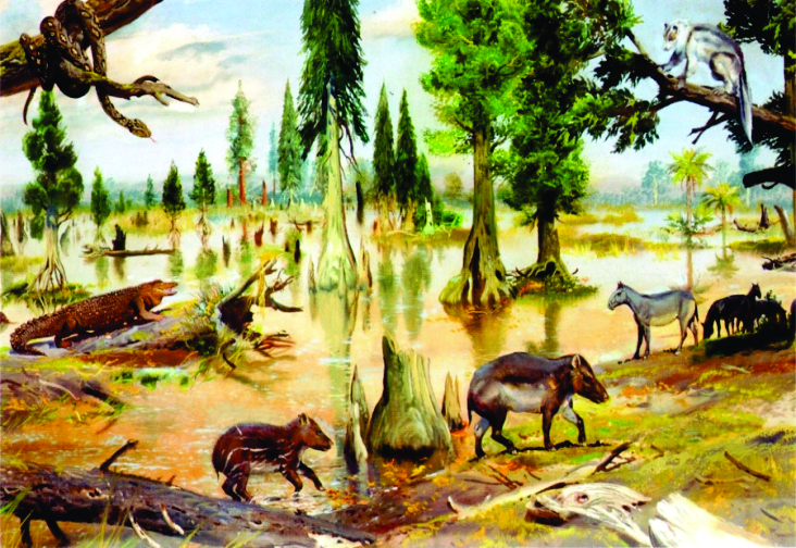 Hồ hóa thạch