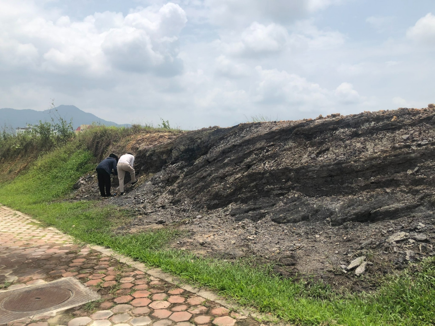 Trầm tích chưa than nâu